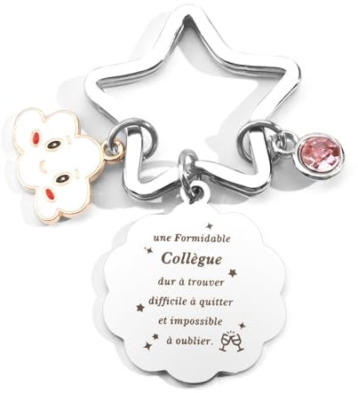 Yritioa Cadeau Collegue De Travail Femme,Petit Cadeau Pas Cher,Cadeau Collègue,Cadeau Collegue De Travail,Cadeau Départ Collègue,Cadeau Collegue De Travail Homme,Cadeau Noel,Porte Clef Collegue