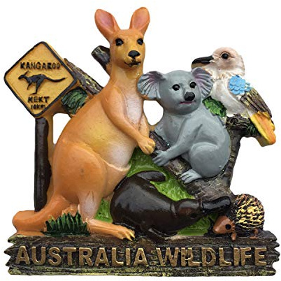 Australia Wildlife 3D Refrigerator Magnet Travel Sticker Souvenirs,Home & Kitchen Decoration Australia Fridge Magnet from China