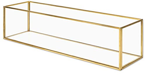 Koyal Großhandel Geometrische Terrarium Glas-Tischdekoration, Pflanzgefäß für Sukkulenten, Kaktus, Luftpflanzen, Zimmerpflanzen Rechteck 16 x 4-Inch Gold