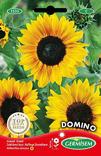 Germisem Domino Semillas de Girasol 2 g (EC1533)