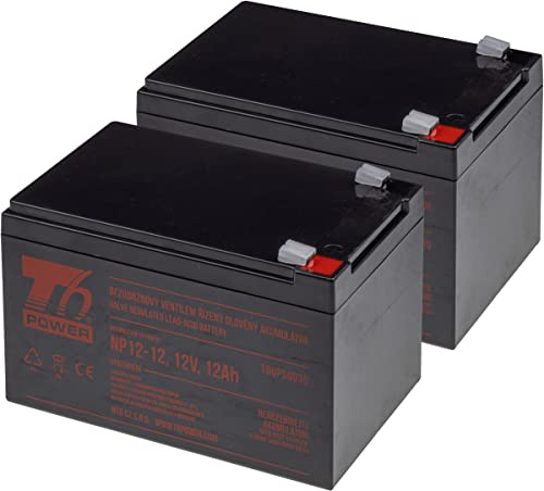 T6 Power Akku Set für IBM Backup-Netzteil RBC6 VRLA 12V