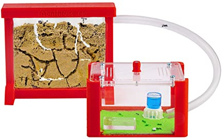 AntHouse - Natürliche Ameisenfarm aus Sand | 3D Basic Set (Sandwich + Futterbox) Rot | Inklusive Ameisen
