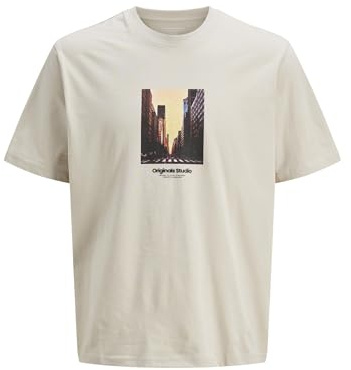 JACK & JONES Herren Jorvesterbro Picture Tee Ss Crew Neck Sn