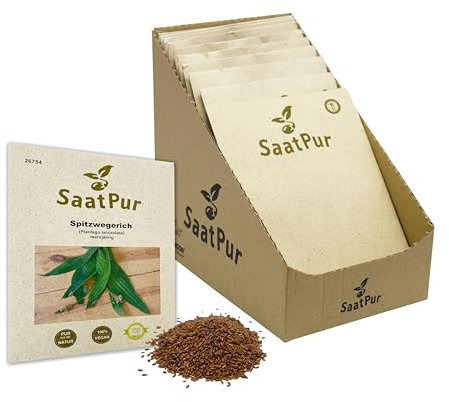 Saatpur Samen Spitzwegerich - Kleines Tray mit 25 Portionstüten für je ca. 1000 Pflanzen