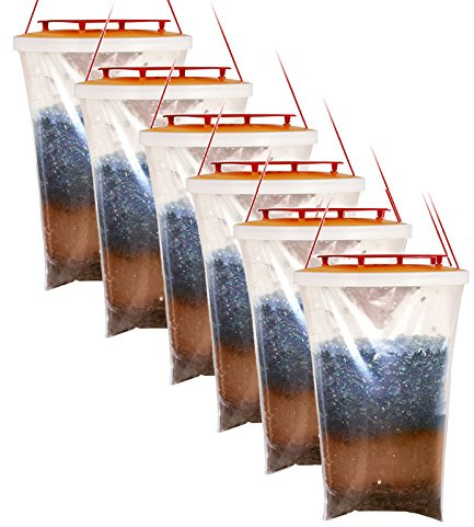 Red Top Fly Traps Genuine (Pack of 6)