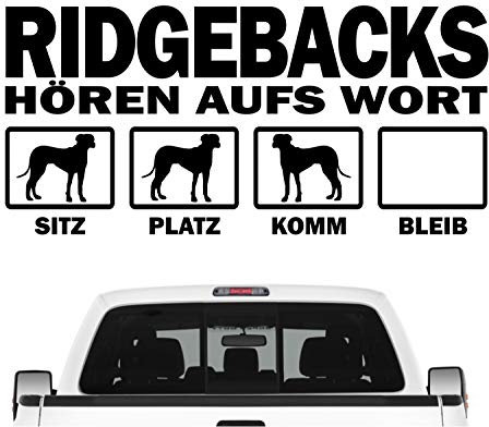 siviwonder Rhodesian Ridgeback RR hört aufs Wort Hunde Auto Aufkleber Autoaufkleber Hund Folie Farbe Schwarz, Größe 45cm
