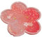 Dickly Glitzer-Untersetzer Cup Coaster Romantic Sakura Rainbow 10cm Sea Treibsand-Untersetzer Treibsand-Wärmeisolierungs-Pads Wasseruntersetzer, Sakura