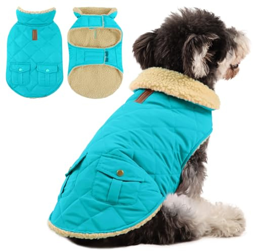 Queenmore Wintermantel Hund Wasserdicht Hundemantel Winter Kleine Hunde Warme Fleecemantel Hundejacke Quilten Hundebekleidung Hundepullover Für Dackel Chihuahua Pudel Bulldogge Beagle, Himmelblau, S