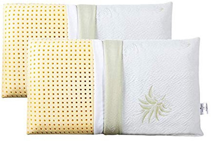 EVERGREENWEB 2 Kissen 100% Memory Foam aus Aloe Vera und Baumwolle, Waschbarer Bezug, Seifenmodell, 9 cm Hoch