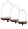 KMwares 3 cúpulas de cristal con forma de campana (14.5 cm/12.4 cm/10.9 cm) | Cloche muestra varias decoraciones y accesorios con base de madera