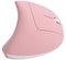 Dilwe Gaming Ratón Vertical Profesional para Computadoras, USB Ratón Inalámbrico Recargable para Juegos, 800/1200/1600/2400 dpi Ajustable Gaming Mouse con Luz de Fondo, Adecaudo para Oficinas(Rosa)
