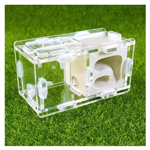 JYARZ Ameisennest Ant Farm Ameisennest-Farm, Wissenschaftliches Experiment, Formicarium, Insektennest Für Wissenschaftliche Bildungswerkzeuge Ameisen Haus Ants' Nest(White)