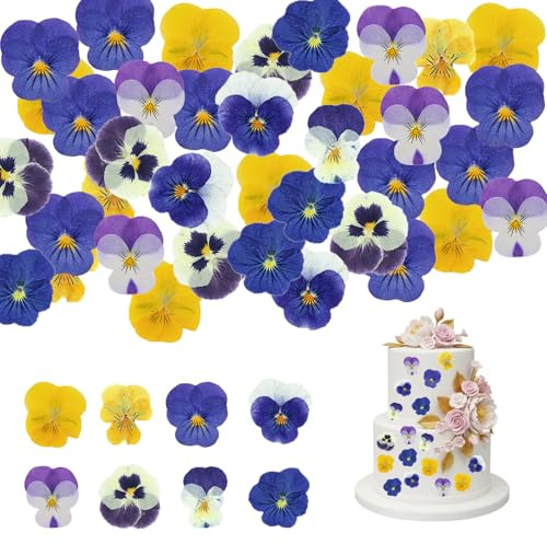 40Pcs Natural Dried Pressed Edible Flowers for Cake Decorating | Mixed Colourful Viola Tricolor Pansy Set for Cocktails and Cupcakes - Floral Garnish for DIY Resin Crafts and Baking