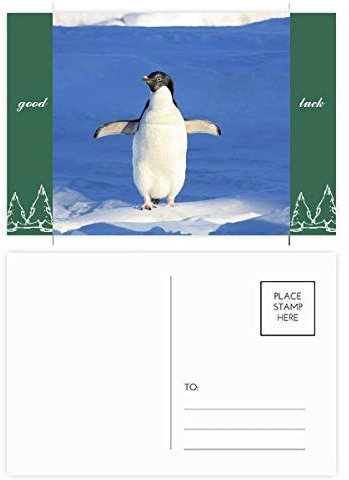 Niedlicher weißer Pinguin, Wissenschaft, Naturbild, Glück, Postkarten-Set, 20 Stück