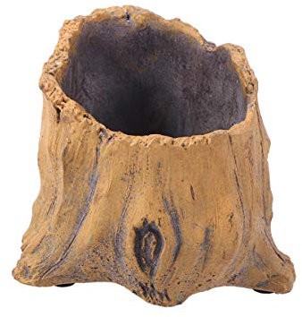 TOYANDONA Zementpflanzer Sukkulenten-pflanztopf Pflanzgefäße Für Zimmerpflanzen Pflanzenbehälter Pflanzer Bonsai-töpfe Blumentopf Aus Treibholz Blumenkübel Aus Zement Baumkopf Dekorationen