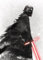 Komar Star Wars EP9 Kylo Vader Shadow - Größe: 50 x 70 cm, Wandbild, Poster, Kunstdruck (ohne Rahmen)