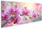 islandburner Prime Bild auf Leinwand Rosa Orchideen Flecken Streifen Bilder Wandbilder Poster