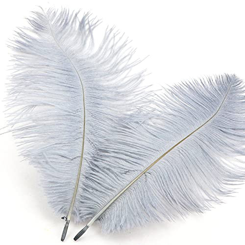10 Stück 15-20cm Natürliche Straußenfedern,Strauß Feder zum Basteln,Bastel Federn für DIY Traumfänger Zubehör,Heimdekoration,KostüMe,Tischdeko Hochzeit Party Fest Hüte Kleidung Dekoration,Grau