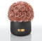 EG EMMIE GRAY Black Solid Infinity Collection - Traumhafte Infinity Rosen, 1-3 Jahre haltbare Rosen, Betonvase mit echten, konservierten Rosen, edle Premiumrosen - Größe L (Rose Gold)