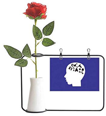 OFFbb-USA Brain Creates Buchstabenkombinationen, künstliche Rosen, hängende Vasen, Dekoration, Flasche