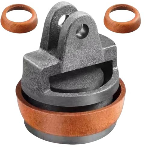 Editbar Piston de rechange pour pompe à bras, pompe de jardin, pompe à bras manuel, pompe à main - Piston cylindrique en fonte pour extraction manuelle de l'eau, idéal pour les fontaines et l'arrosage