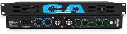 THYXGS Amplificador De Potencia Digital De 400 W*2 1U, Amplificador Profesional De Postes De KTV, 2 Ventiladores, Salida Independiente De Doble Canal, Indicadores LED, Ideal para Conferencias