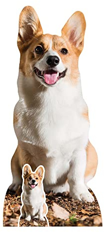 STAR CUTOUTS SC4064 Cut Out Cute Corgi Lifesize Cardboard Cutout With Mini