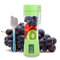 Portable Blender, Smoothie Maker, Mini Blender, Fruit Mixer, Milkshakes Ice Maker, 380 ml Travel Handheld Blenders for Soft Fruit, 6 Stainless Steel Blades, USB Rechargeable 2000 mAh, Green