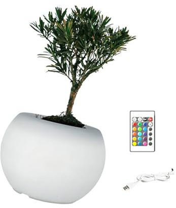 uikios Pots de fleurs LED multicolores pour plantes succulentes, modèles de couleur régulable, outil de jardinage d'intérieur, pot de fleurs de couleur réglable avec lumière