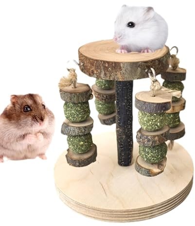 Hamster Toys - Wooden Natural Teething Treats | Hamster Cage Accessories,for Teeth Grinding Small Animals Mice Gerbil Chinchilla Indoor Home