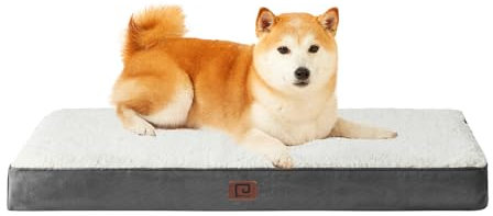 EHEYCIGA Orthopädisches Hundebett Mittelgroße Hunde 91x68x9cm, Hundekissen Waschbar Flauschig, Hundematte Hundematratze für Kiste, Beige