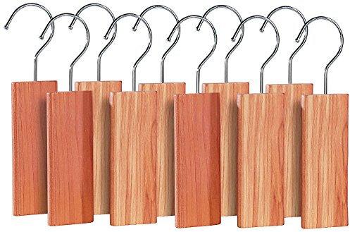 infactory Mottenfalle: 10er-Pack Zedernholz-Blöcke mit Metallhaken gegen Motten (Motten-Abwehr, Anti-Holz, Insektenvernichter)