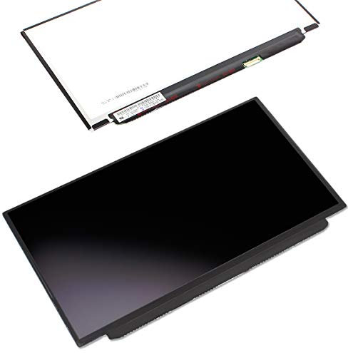 Laptiptop 12,5 LED Display matt passend für IPS Dell Latitude 12 5280 Bildschirm WXGA HD