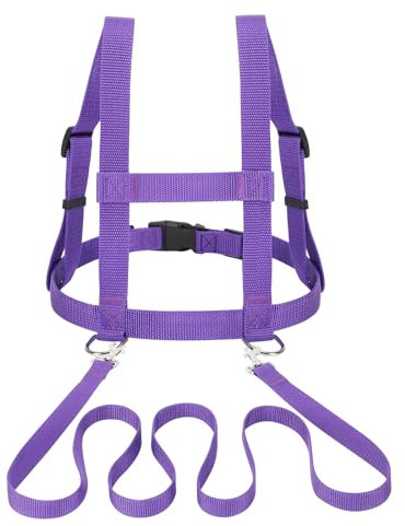 Cavalli viola per bambini imbracatura per bambini per giocare giocattoli per cavalli per ragazze ragazzi all'aperto