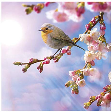 Auswahl Motiv - 20 Servietten / Napkins - ca. 33 x 33 cm 3-lagig - Gelbkehlchen Kirschblüten - Tisch-Deko Basteln Serviettentechnik