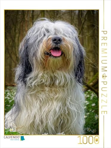 CALVENDO Puzzle PON (Polski Owczarek Nizinny) | 1000 Teile Lege-Größe 48 x 64 cm Foto-Puzzle für glückliche Stunden