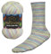 Wollbiene Socks Color Sockenwolle 100g 4-fädig Stricken und Häkeln 75% Schurwolle Farbverlaufswolle Strickwolle Socken (56 magic)