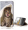 KX-Mobile Hülle für Samsung Galaxy A7 2018 Handyhülle Smart Magnet mit Motiv 445 Katze in Decke