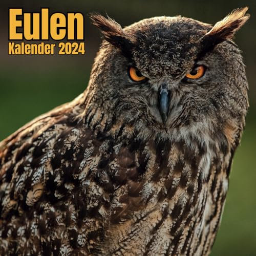 Eulen Kalender 2024: 16-Monats-Organizer von SEPTEMBER 2023 bis Dezember 2024, Notizen I Großes Format, für Männer, Frauen