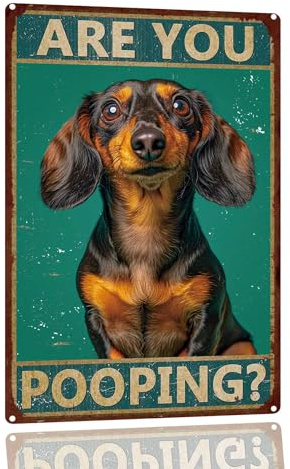 SANTUKEY Lustiges Chihuahua-Badezimmer-Metallschild Sare You Pooping, Vintage-Schild, Retro-Aluminium-Blechschilder für Zuhause, Bar, Badezimmer, Küche, Wandkunst, Dekoration, 20,3 x 30,5 cm