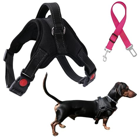 M Merecum Pettorina per Cani Piccoli Anti-Tiraggio, Senza Pressione, Riflettente, Cintura di Sicurezza per Auto, Nero, Taglia S