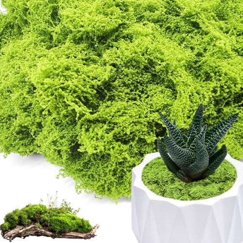 100g/200g Kunstmoos Zum Dekorieren,Kunst Moos,Kunstmoos Zum Basteln,Moos Zum Basteln,Künstliches Moos Deko,Fake Green Moss Perfekt Für DIY Moosbilder,Mooswände,Aquarien & Miniaturlandschaften (100g)
