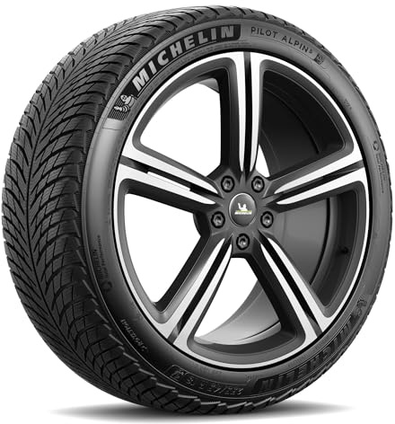 315/30VR21 MICHELIN TL PILOT ALPIN 5 ND0 XL 109V