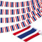 Thailand String Flag Pennant Banner, Small Mini Thai Flags Bunting Banner, National Country Decoration for School, Party, Sports Events, Patriotic Festival, 33 Feet 30 Flags