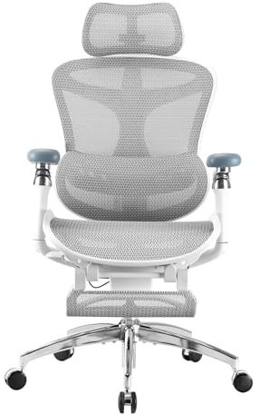 SIHOO Doro C300 Pro Chaise de Bureau ergonomiqueavec accoudoirs 6D Ultra-Doux, Soutien Lombaire Dynamique, Repose-Pieds pour accru, réglage de la Profondeur d'assise, Gris