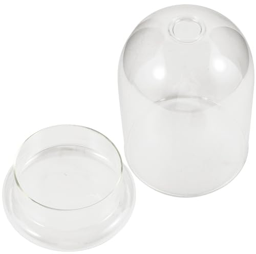 BESTonZON Glasflasche Micro Landschaft Terrarium Klarer Glasdom Pflanzen Ökosystem DIY Flaschengarten Dekoration für Wohnzimmer Büro Balkon