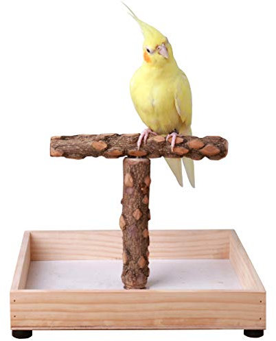 Kintor Natural Wood Stand for Small and Medium Parrots - Cockatiel, Grey Parrot - Bird Perch - 100% Natural Hardwood