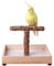 KinTor - Soporte de madera para loros pequeños y medianos
