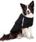 PETLESO Hundepullover Hundemantel Fleece Hunde Pullover für Große Hunde Warm Hundepulli Leicht an- und Auszuziehen Hunde Hoodie, Schwarz-4XL
