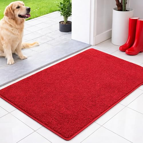 Floordirekt Schmutzfangmatte innen 50 x 80 cm - Rot - rutschfeste Maschinenwaschbare Fußmatte - Türmatte Sauberlaufmattestürmatte - Fussmatte für Hund - Haustür & Flur - NASA